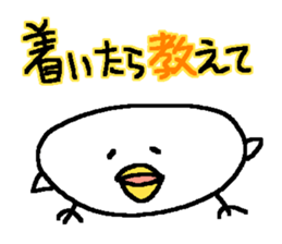 3496175