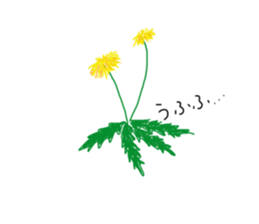 34966251