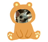 349665881