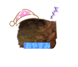 349676407
