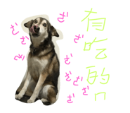 34970330