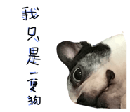 34970334