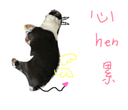 34970335