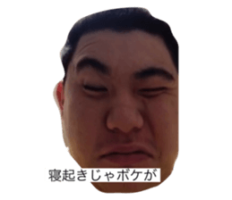 349730766