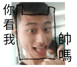 349751979