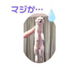 349840328