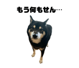 349856924