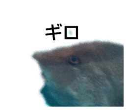 349865861