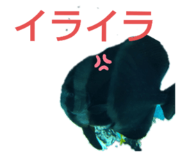 349865867