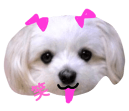 349998390