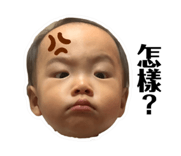 350042392