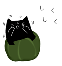 350052819