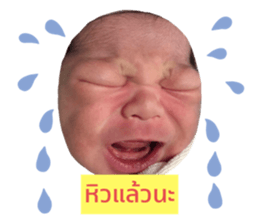 350074530