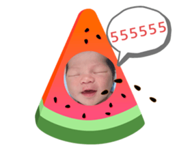 350074533