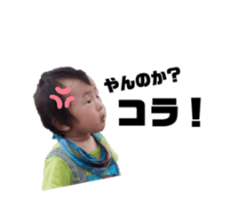 350081834