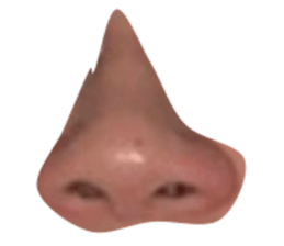 350097337