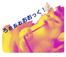 350114052