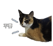350181747