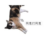 350181749