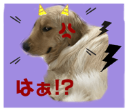 350233203