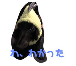 350251705