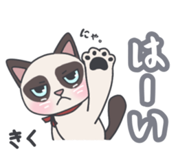 350254037