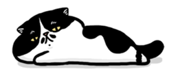 350267153