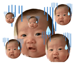 350400806