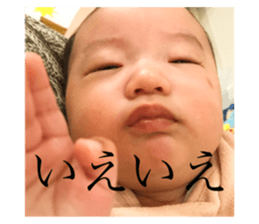 350406493