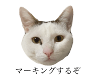 350427759