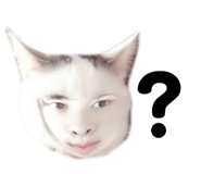 350427765