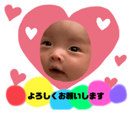 350495533
