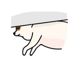 350508196