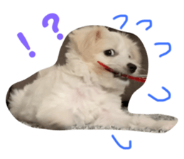 350598121