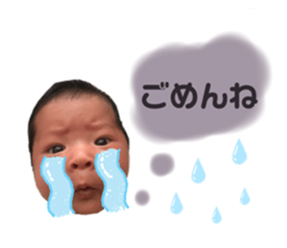 350602241