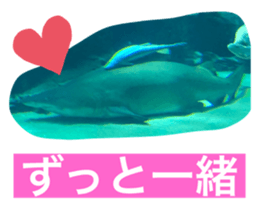 350623704