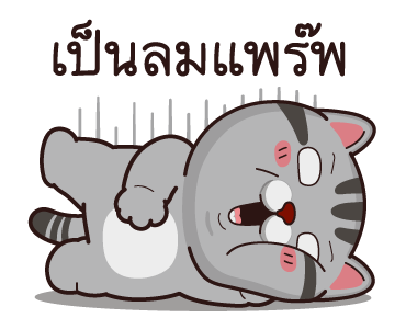 วีต้าแมวป่วน รูปที่ 3
