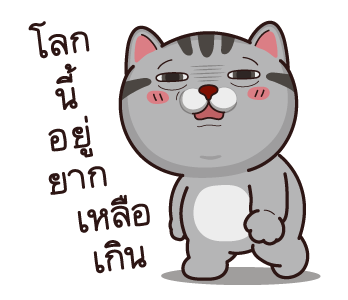 วีต้าแมวป่วน รูปที่ 9