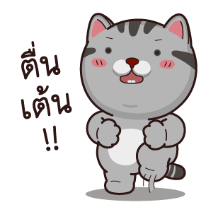 วีต้าแมวป่วน รูปที่ 10