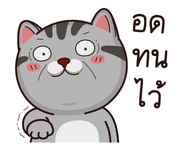 วีต้าแมวป่วน รูปที่ 13