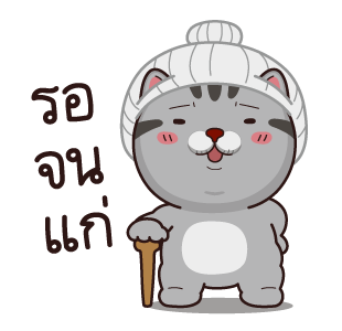 วีต้าแมวป่วน รูปที่ 20