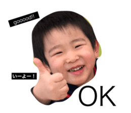 35068338