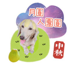 350696423