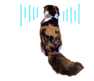 350792100