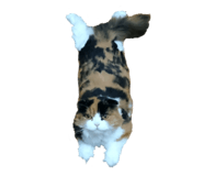 350792117