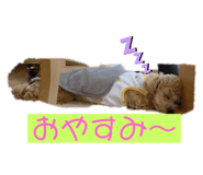 350808198