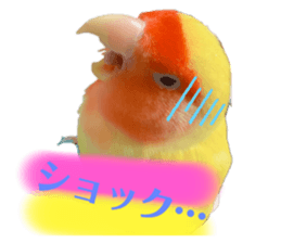 350815836