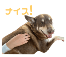 350912510