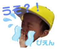 351017981