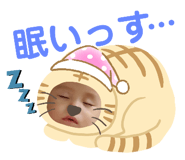 351017988